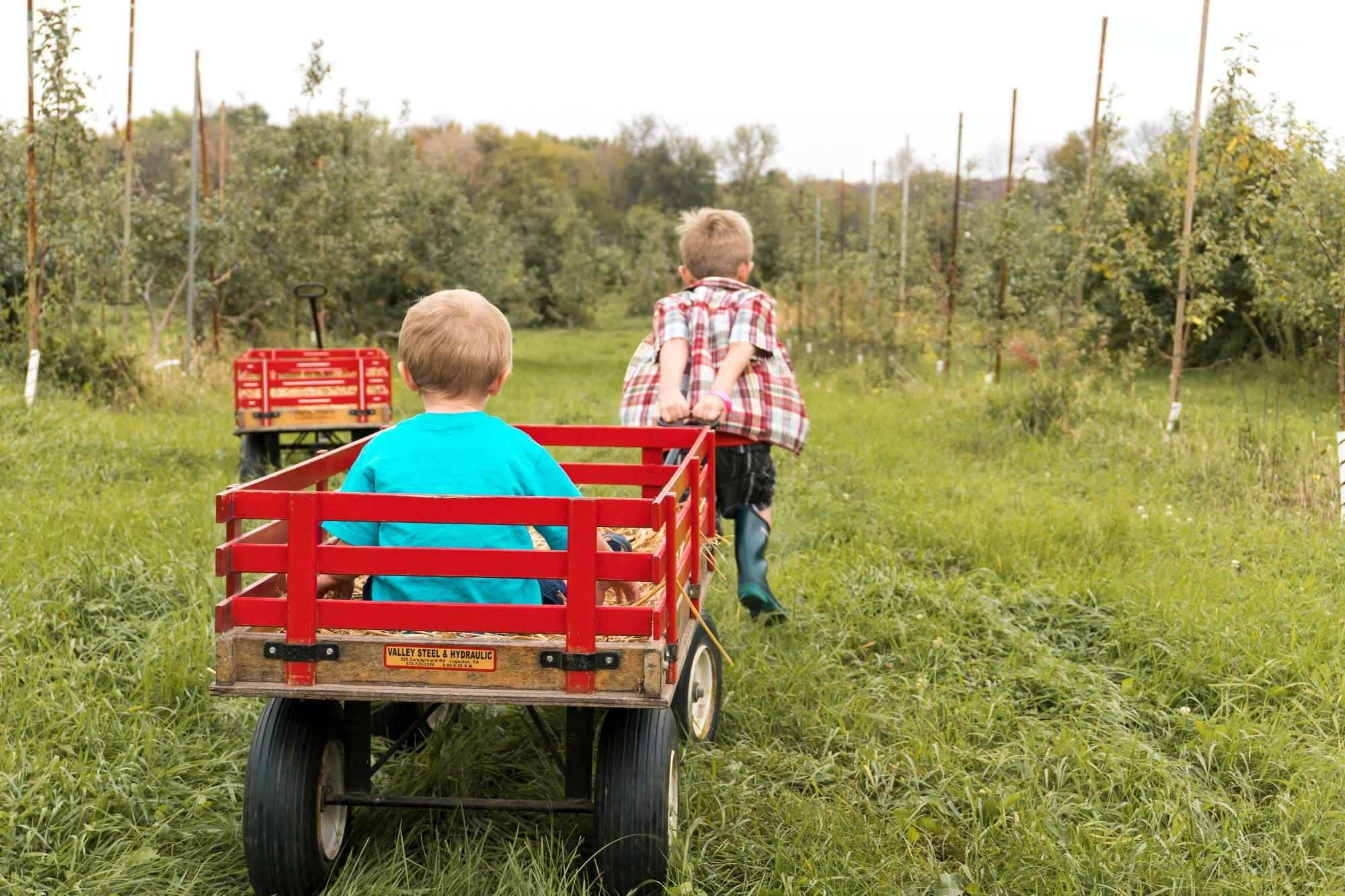 best baby wagon, Best Baby Beach Wagon