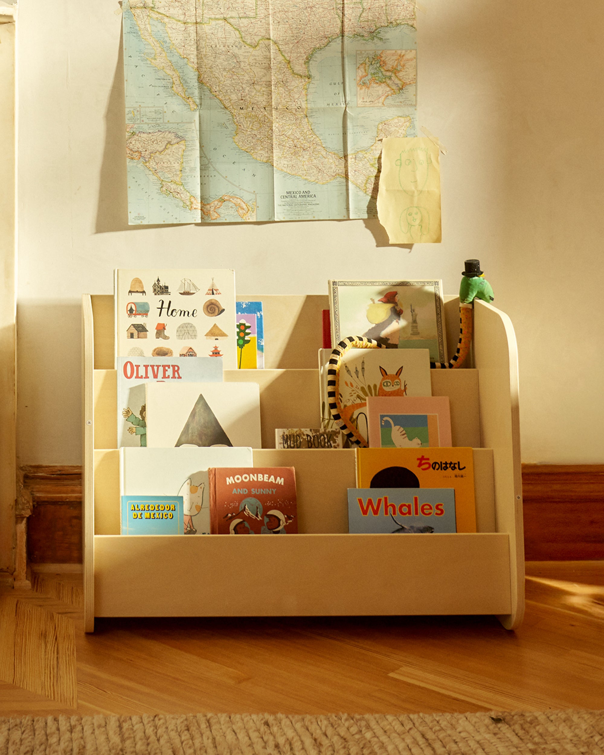 Montessori Bookshelf